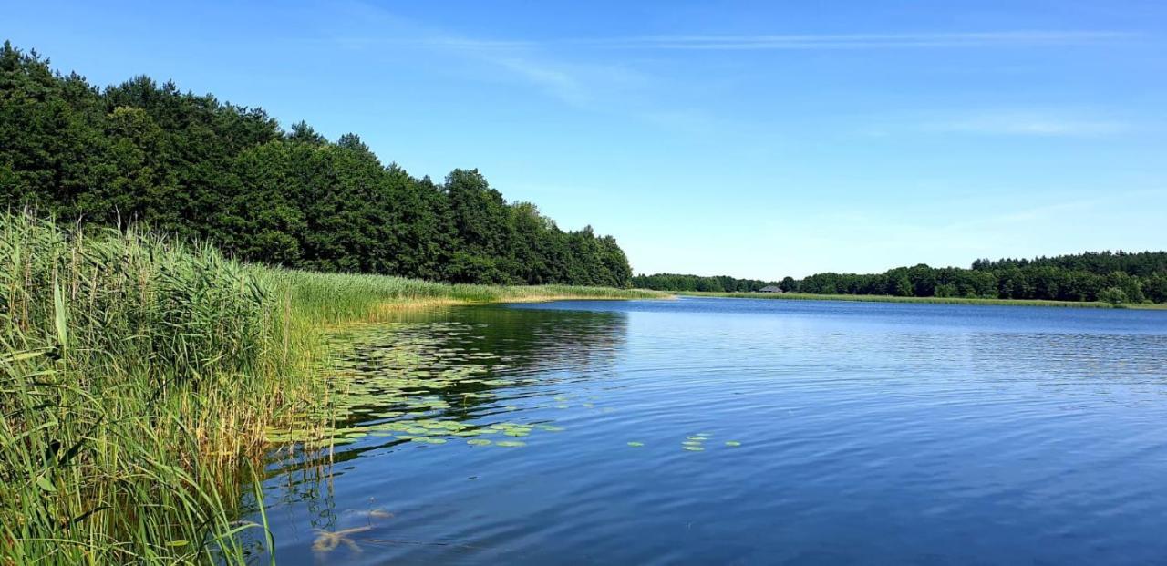 Szary 1 Jacuzzi Komienk Sauna Klimatyzacja Jezioro *