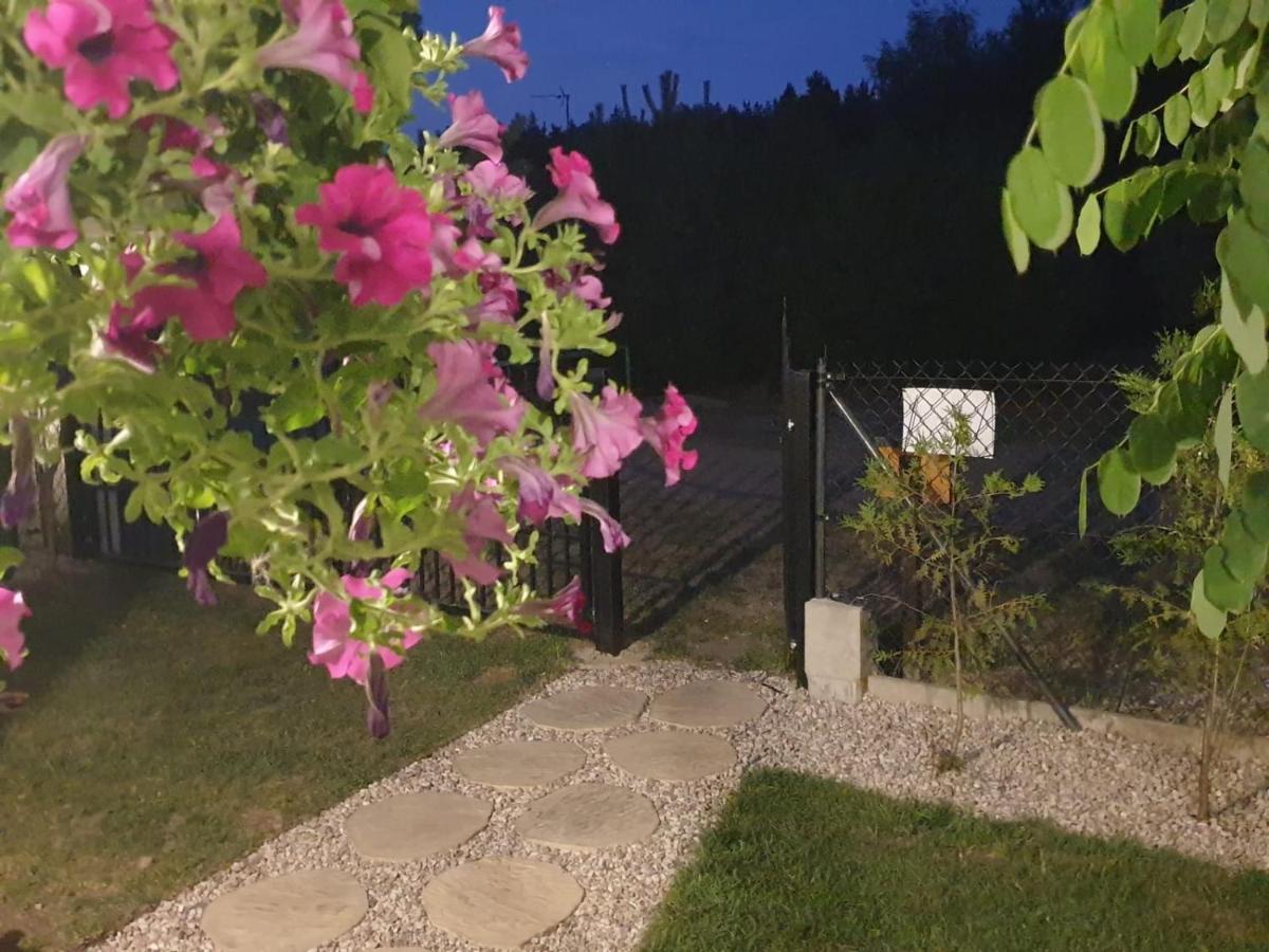 Szary 1 Jacuzzi Komienk Sauna Klimatyzacja Jezioro