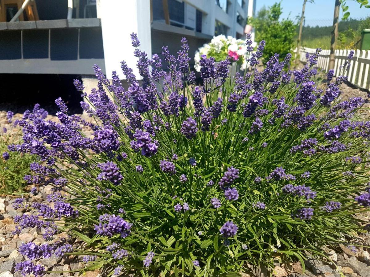 Szary 1 Jacuzzi Komienk Sauna Klimatyzacja Jezioro
