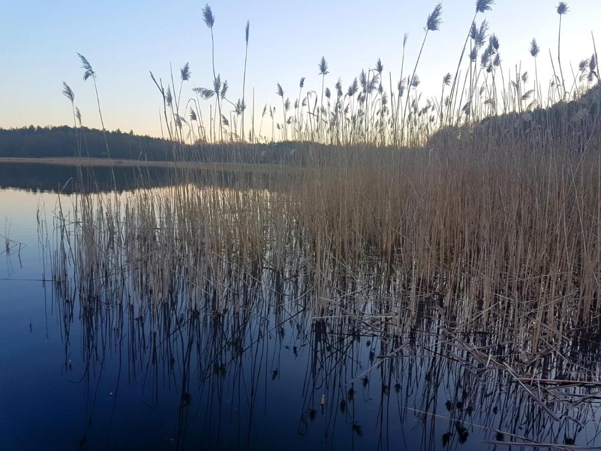 Szary 1 Jacuzzi Komienk Sauna Klimatyzacja Jezioro