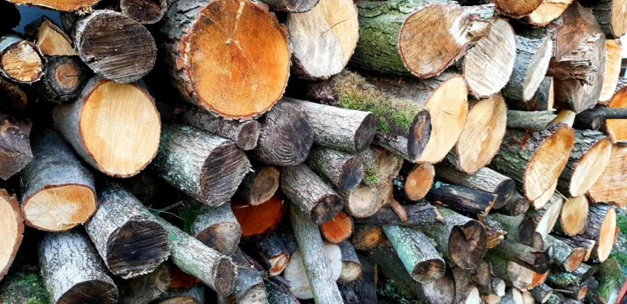 Szary 1 Jacuzzi Komienk Sauna Klimatyzacja Jezioro Vila