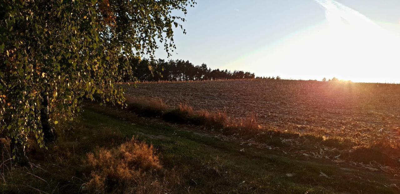 Szary 1 Jacuzzi Komienk Sauna Klimatyzacja Jezioro * Piotrkow Kujawski