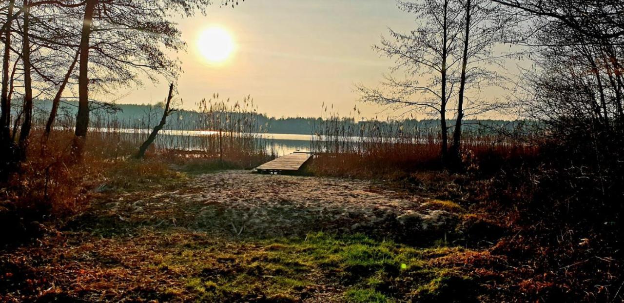 Szary 1 Jacuzzi Komienk Sauna Klimatyzacja Jezioro Piotrkow Kujawski