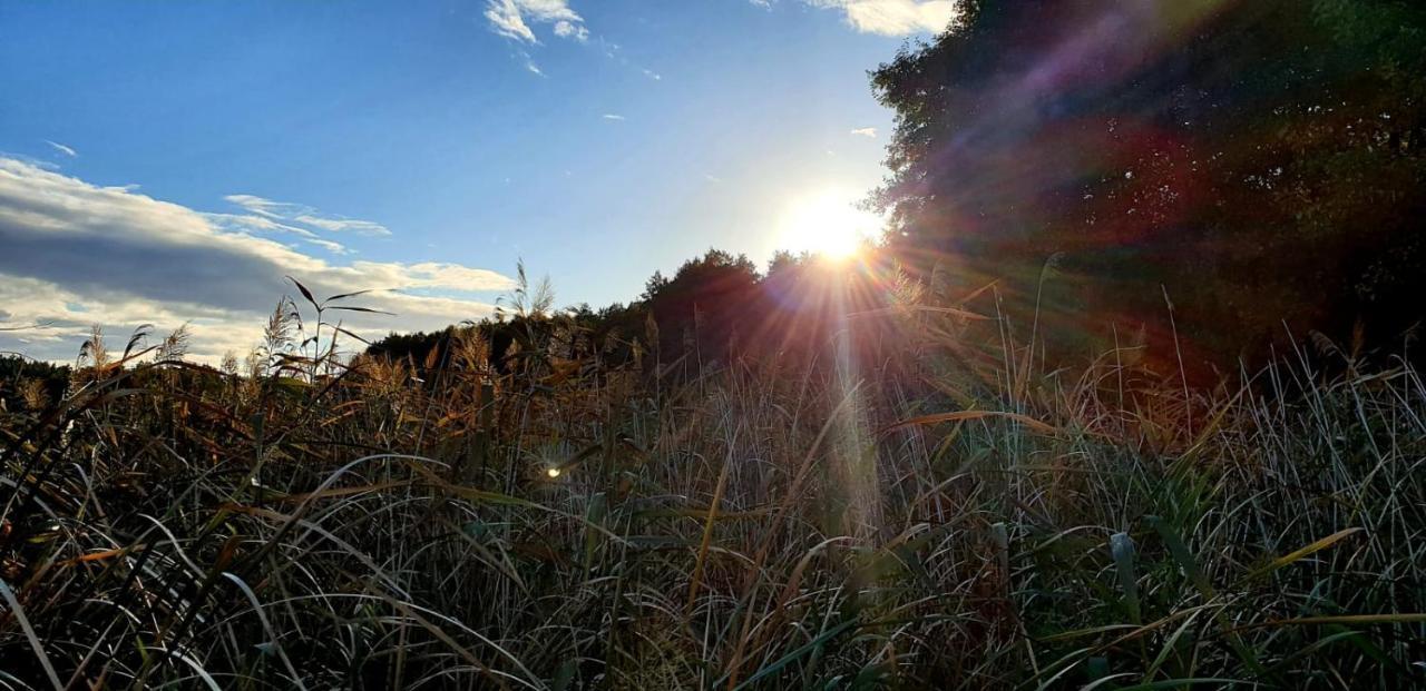 Szary 1 Jacuzzi Komienk Sauna Klimatyzacja Jezioro Vila Piotrkow Kujawski