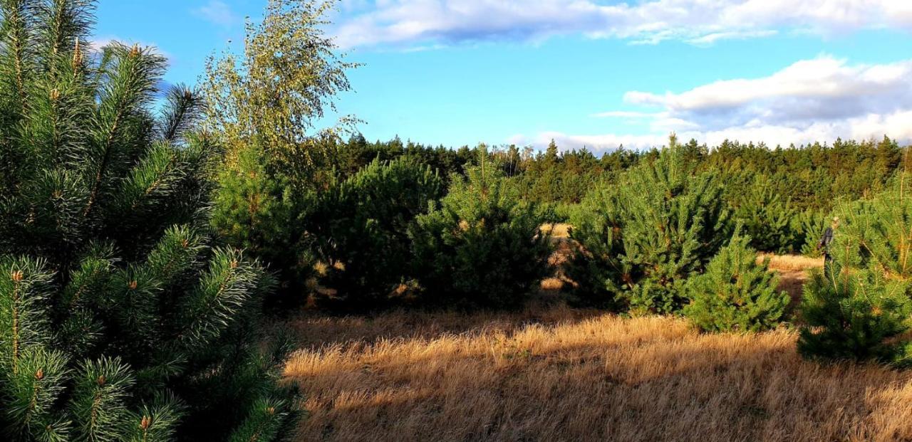 Szary 1 Jacuzzi Komienk Sauna Klimatyzacja Jezioro Vila Piotrkow Kujawski