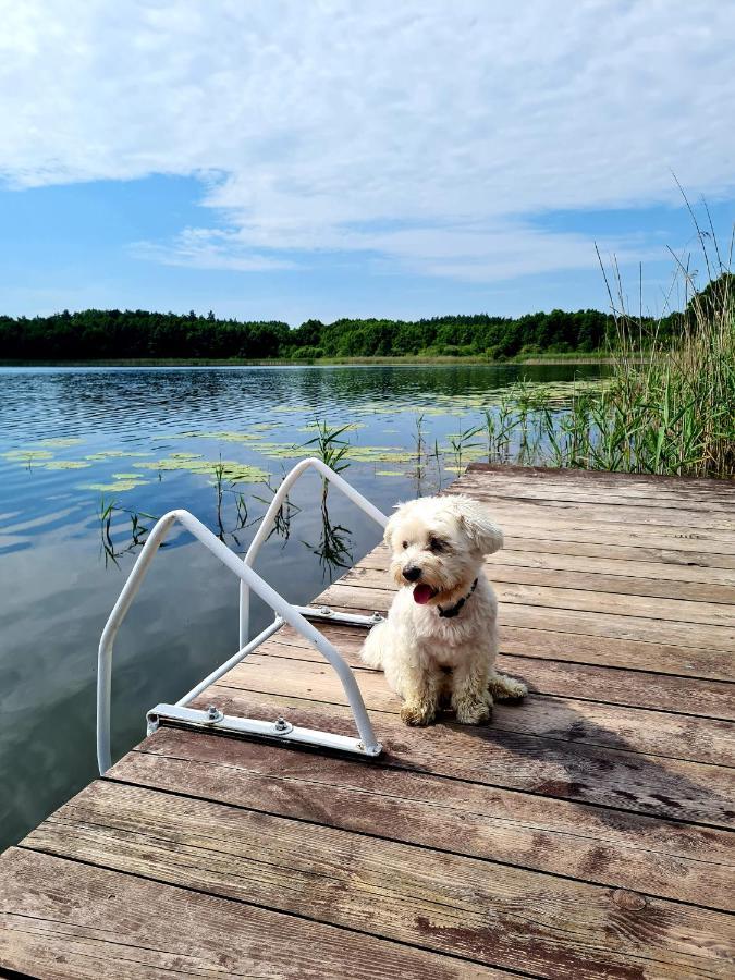 Szary 1 Jacuzzi Komienk Sauna Klimatyzacja Jezioro Villa