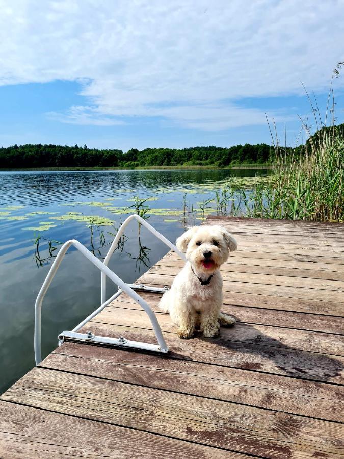 Szary 1 Jacuzzi Komienk Sauna Klimatyzacja Jezioro *