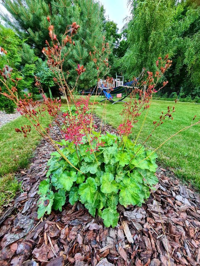 Villa Szary 1 Jacuzzi Komienk Sauna Klimatyzacja Jezioro Piotrkow Kujawski